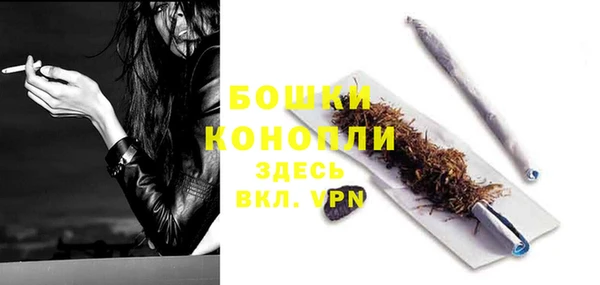 PSILOCYBIN Фёдоровский