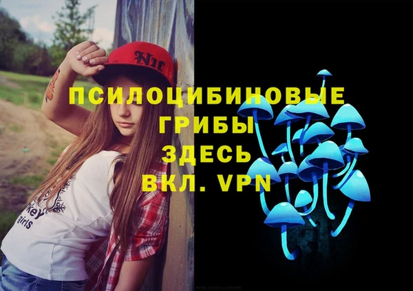 PSILOCYBIN Фёдоровский