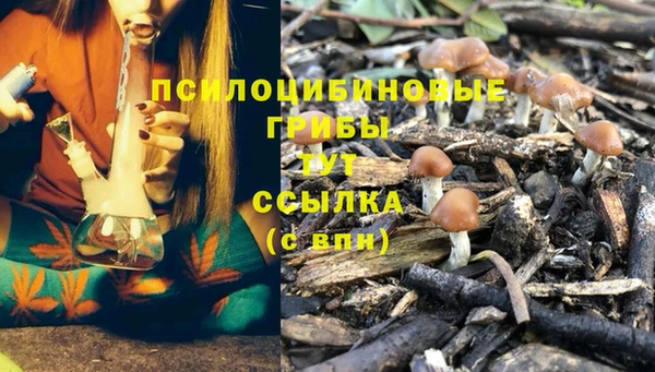 PSILOCYBIN Фёдоровский