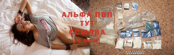 PSILOCYBIN Фёдоровский