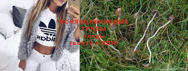 PSILOCYBIN Фёдоровский
