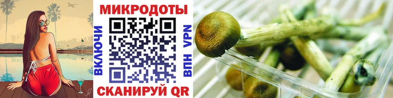 Галлюциногенные грибы Magic Shrooms  даркнет сайт  Ардатов 