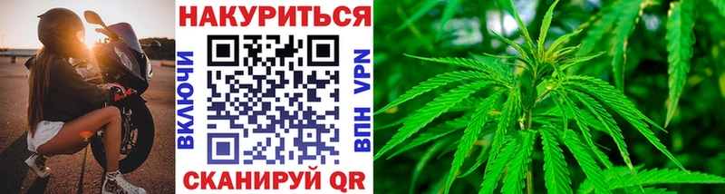 Конопля планчик Ардатов