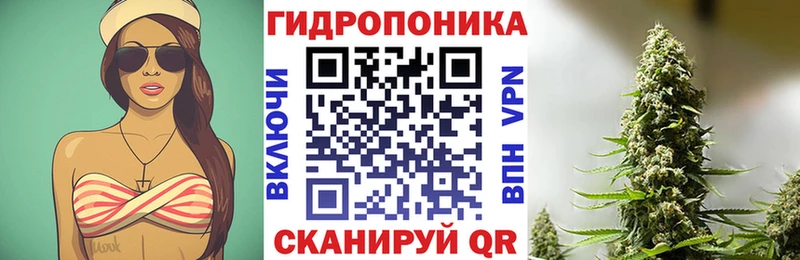 что такое   Ардатов  Конопля LSD WEED 